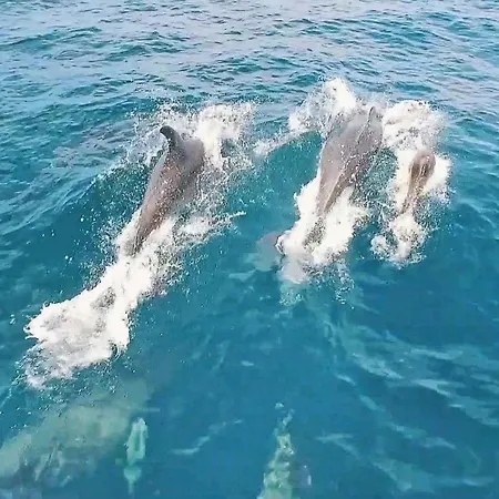 Canguu By Algarve Vacation * Albufeira