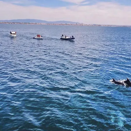 Вилла Canguu By Algarve Vacation